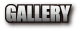 ギャラリー